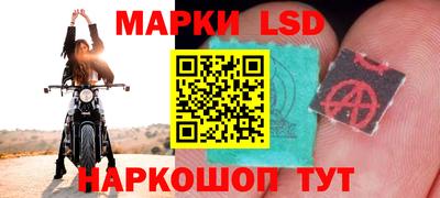 трава Сланцы