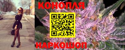 прущие крисы Славгород