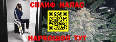 трава Сланцы