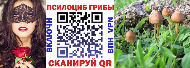Галлюциногенные грибы Psilocybine cubensis  Ялта 