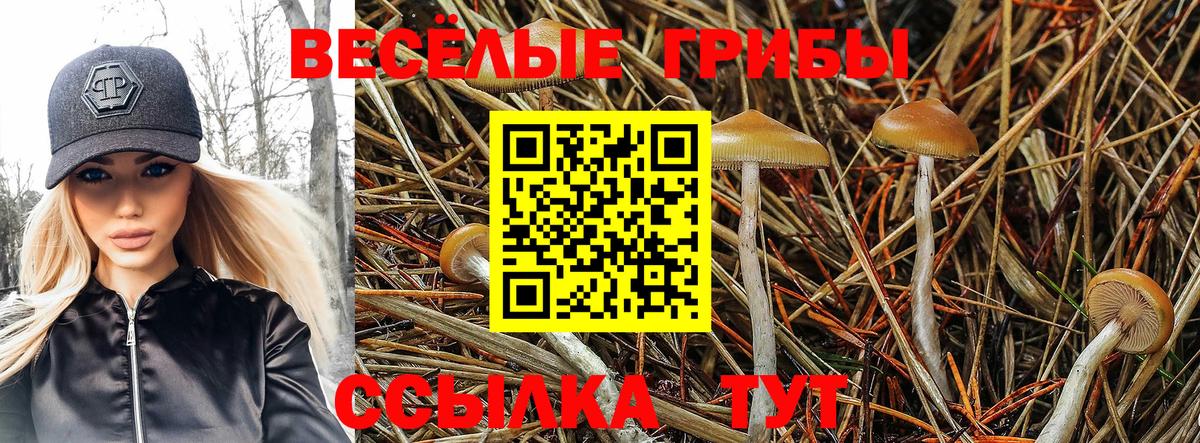 Ялта  Галлюциногенные грибы Psilocybe  Вход с VPN  Псилоцибиновые грибы Magic Shrooms 