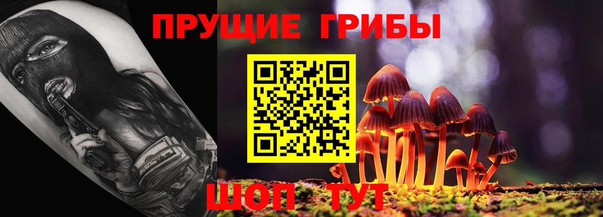 Псилоцибиновые грибы прущие грибы Ялта